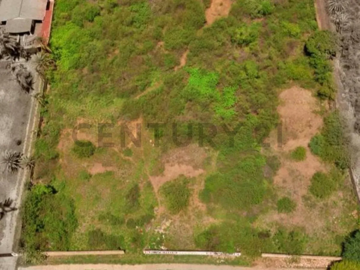 TERRENO TAPIADO USO TURISTICO RESIDENCIA EN EL VALLE, ISLA DE MARGARITA - 2