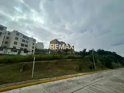 Vista 5