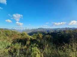 Vista 1