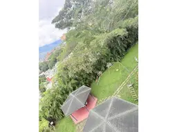 View 5