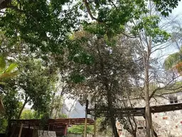 View 15