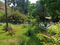 View 17