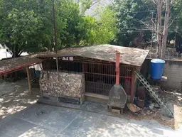 View 18