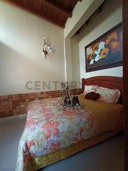 Vista 26