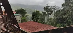 Vista 19