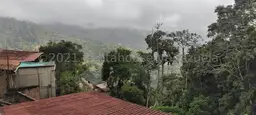 Vista 20