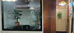 Vista 25