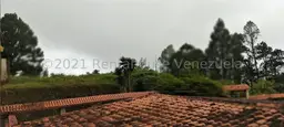 Vista 27