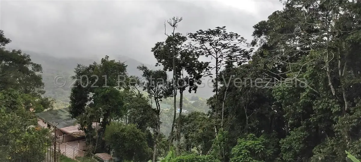 Casa (Duplex) en Venta en Parcelamiento Cortada del guayabo, Miranda - 39