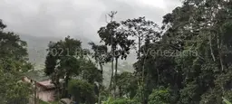 Vista 39