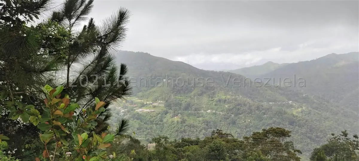 Casa (Duplex) en Venta en Parcelamiento Cortada del guayabo, Miranda - 4