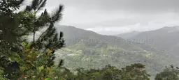 Vista 4