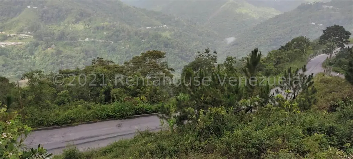Casa (Duplex) en Venta en Parcelamiento Cortada del guayabo, Miranda - 51