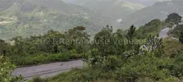 Vista 51