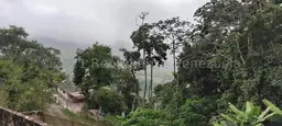 Vista 54