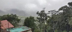 Vista 9
