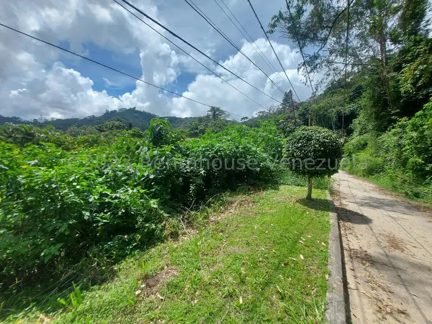 Terreno (Residencial) en Venta en Oripoto, Distrito Metropolitano - 5