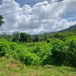 View 6