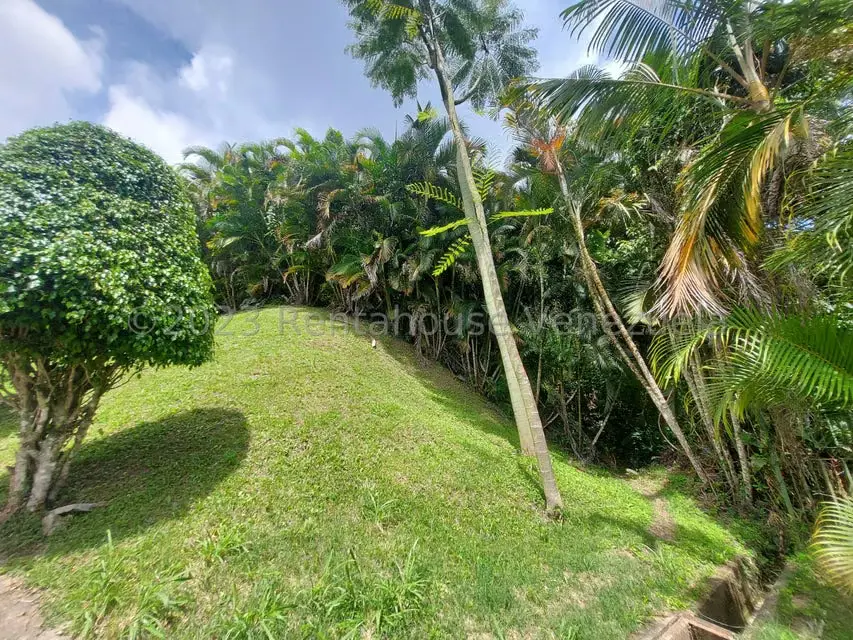 Terreno (Residencial) en Venta en Oripoto, Distrito Metropolitano - 9