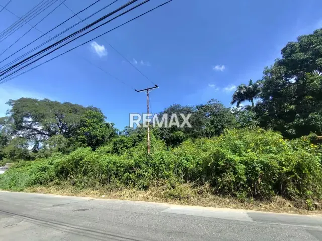 VENTA DE TERRENO PLANO DE ESQUINA EN CALLE ABIERTA, COLINAS DE GUATAPARO - 2