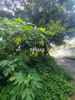 View 8
