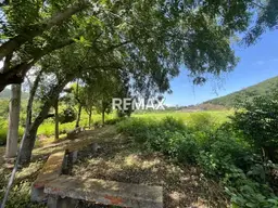 View 11