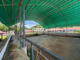 View 6