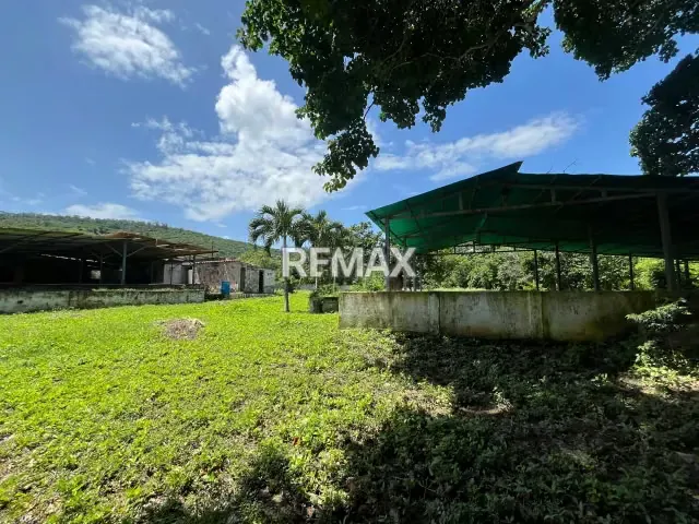 Se venden 14 hectáreas para proyecto turístico LA ENCANTADA - 10