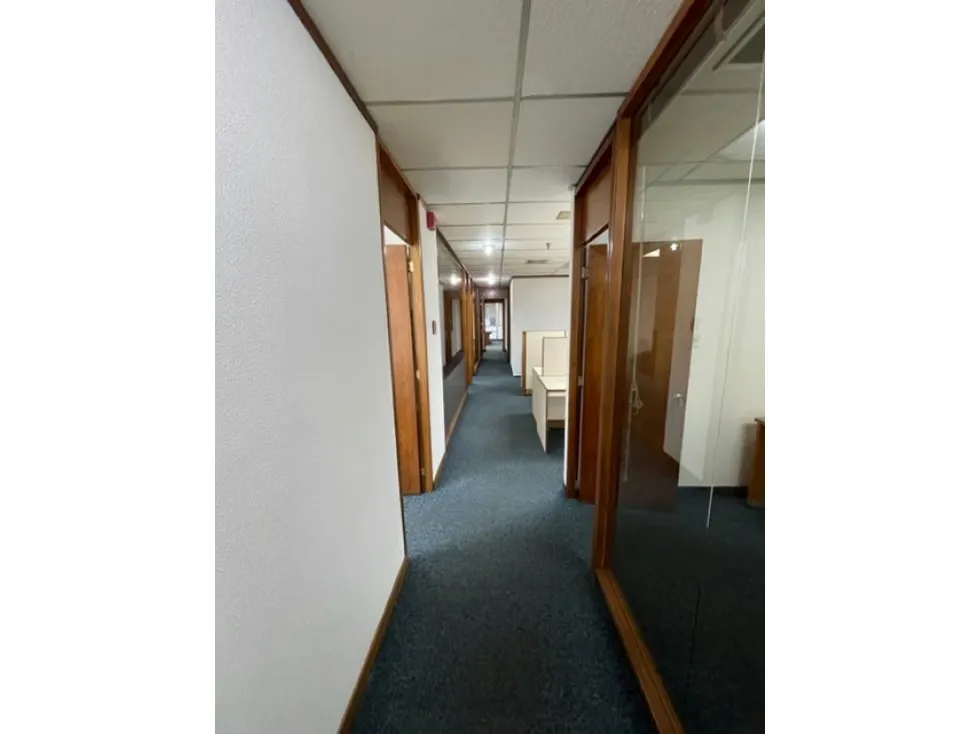 Ofrezco en VENTA, Oficina de 276 m2 en El Rosal - 5