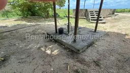 View 12