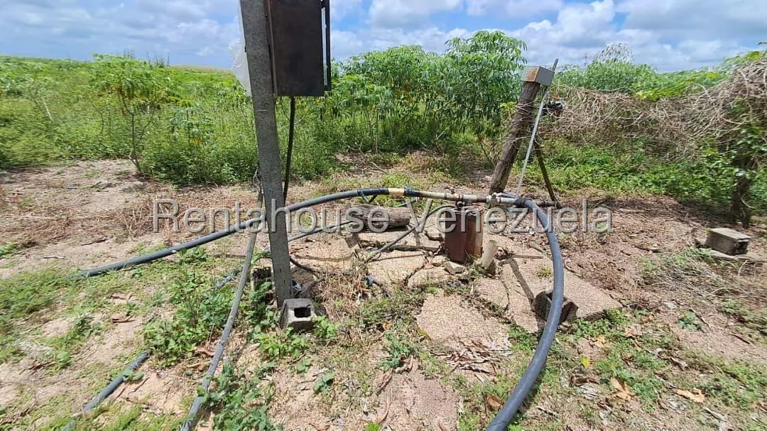 Terreno (Finca) en Venta en Paso Hondo, Monagas - 13