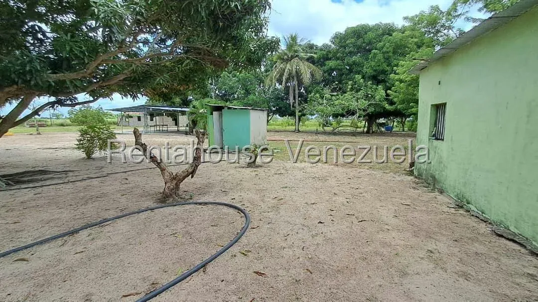 Terreno (Finca) en Venta en Paso Hondo, Monagas - 14
