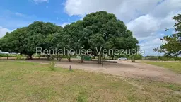 View 17