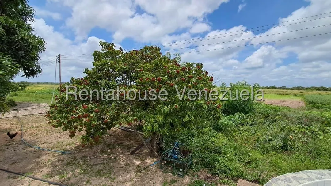 Terreno (Finca) en Venta en Paso Hondo, Monagas - 18