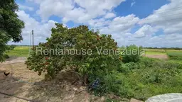 View 18
