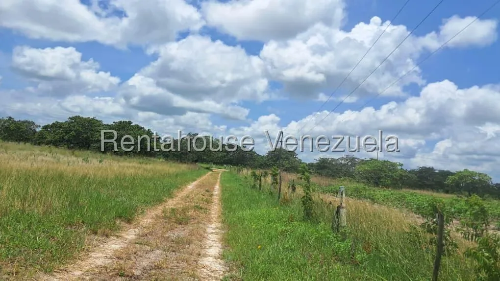 Terreno (Finca) en Venta en Paso Hondo, Monagas - 23