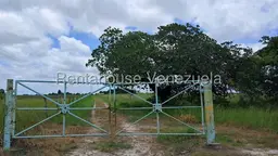 View 24