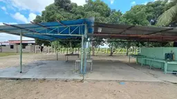 View 10