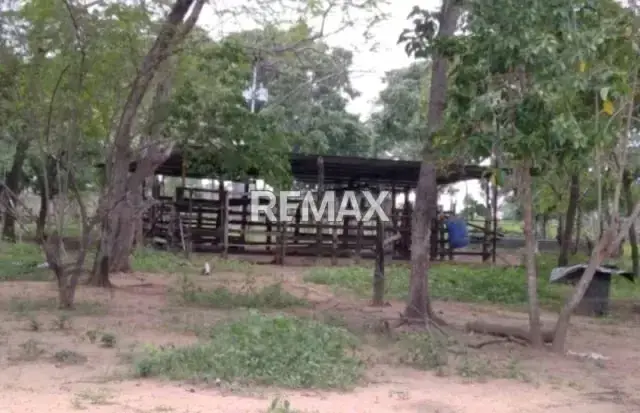 Venta Finca 65 ha en Tinaquillo
