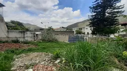 Vista 13