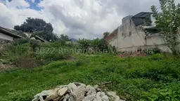 Vista 9