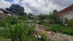 Vista 10