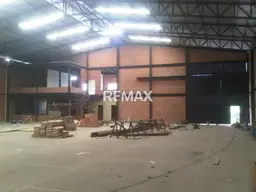Vista 4