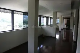 Vista 42