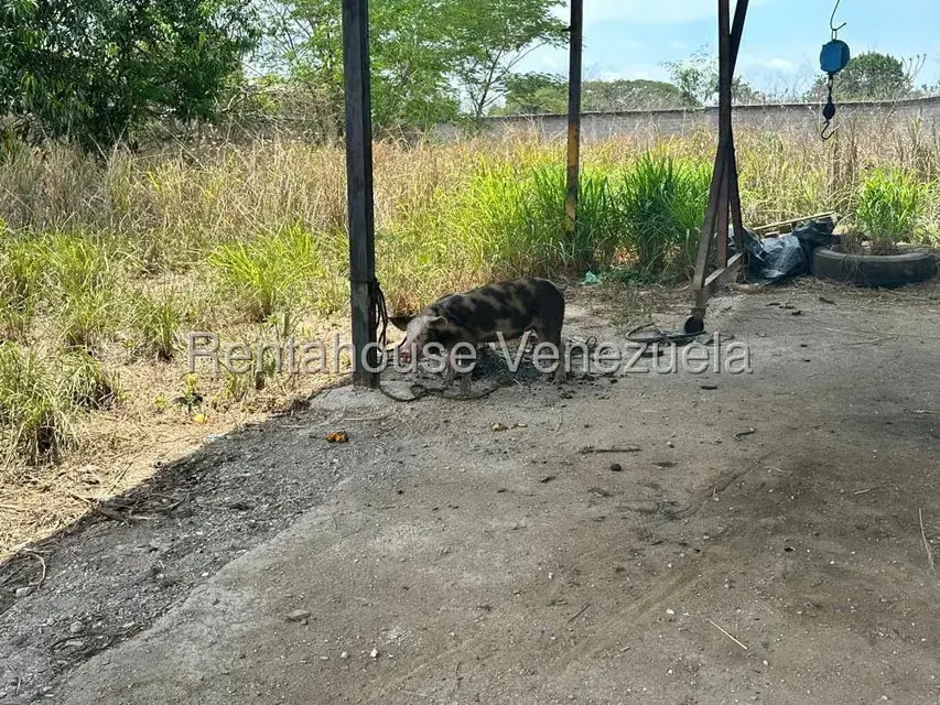 Terreno (Comercial) en Venta en La Raiza, Miranda - 12