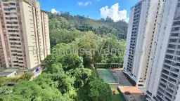 Vista 19