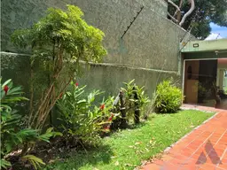 Vista 6