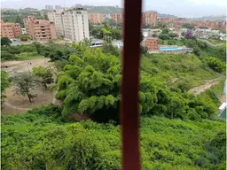 View 16