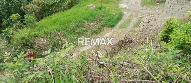 Terreno en Carmania en venta