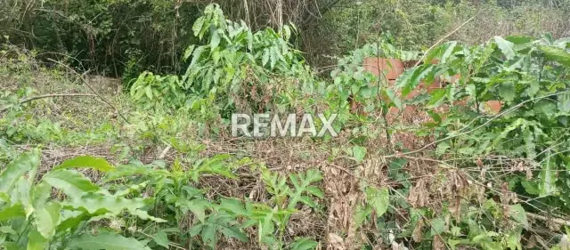 Terreno en Carmania en venta - 2